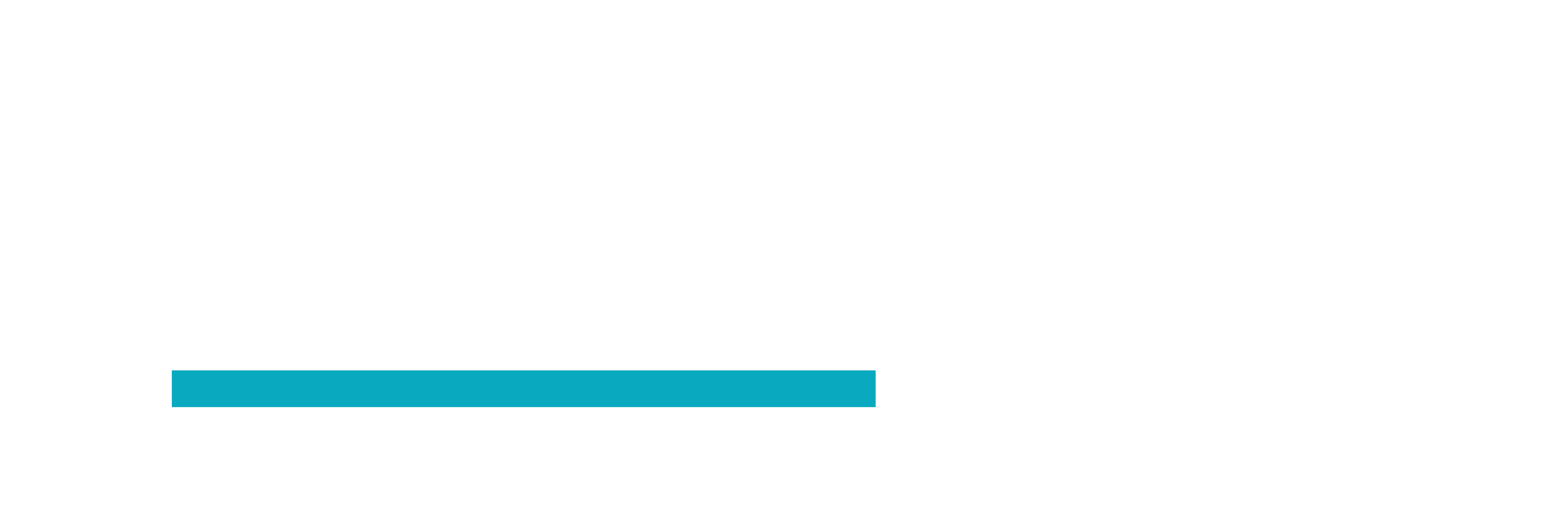 ServerDots logo